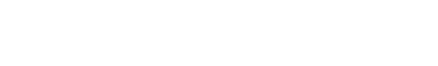 DS Logo White