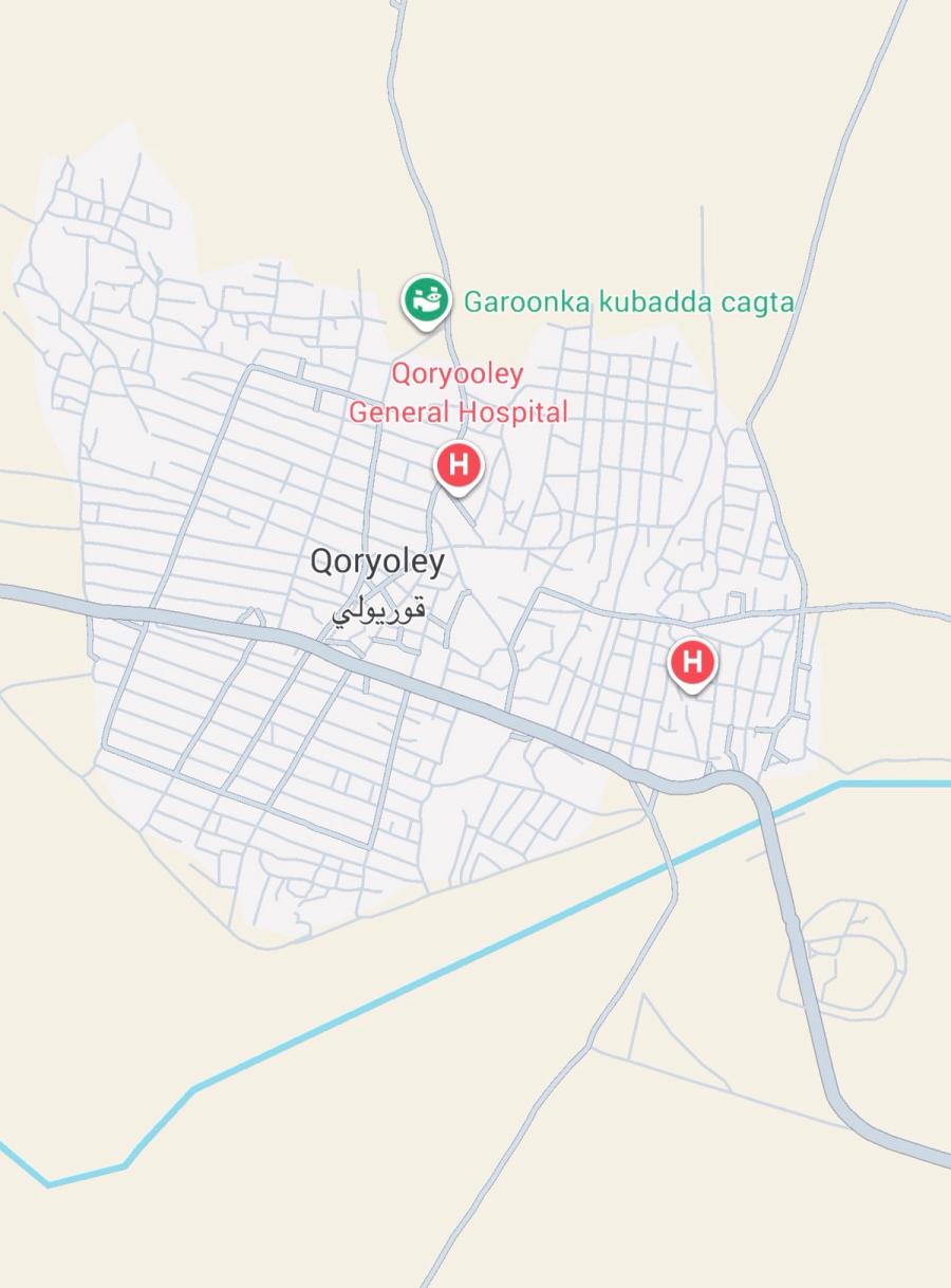 Al-Shabaab Attacks in Lower Shabelle: Qoryooley, Janaale and Danow Under Pressure