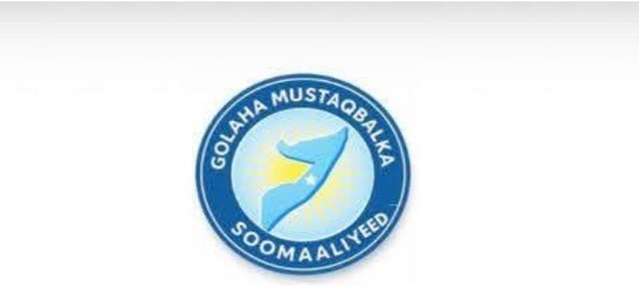 Future Council Committee to Meet International Partners Today