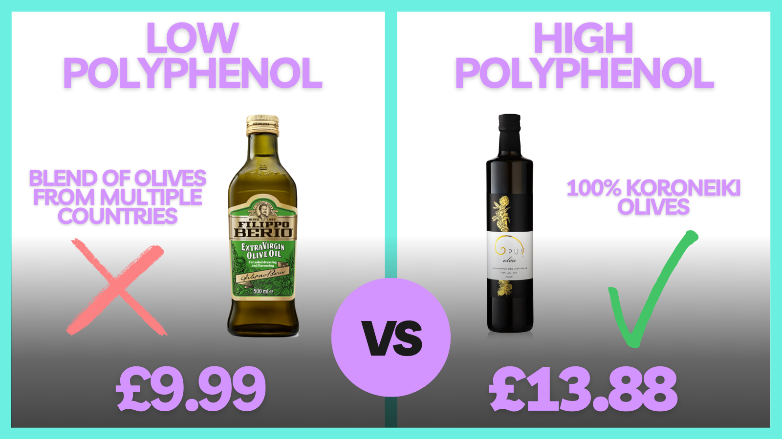 Comparison between Filippo Berio and high polyphenol Opus Oléa olive oil