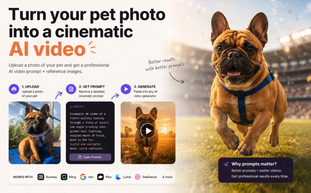 image of Talking Pet Video Prompts image of Talking Pet Video Prompts