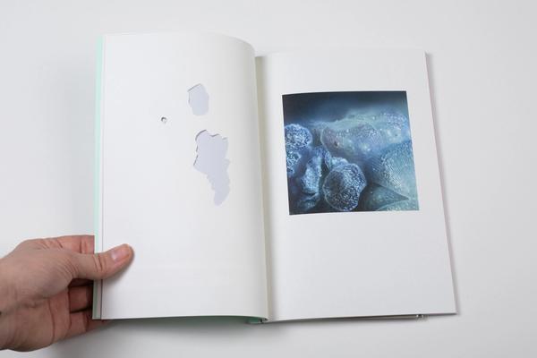 En oppslått bok med et blått bilde.