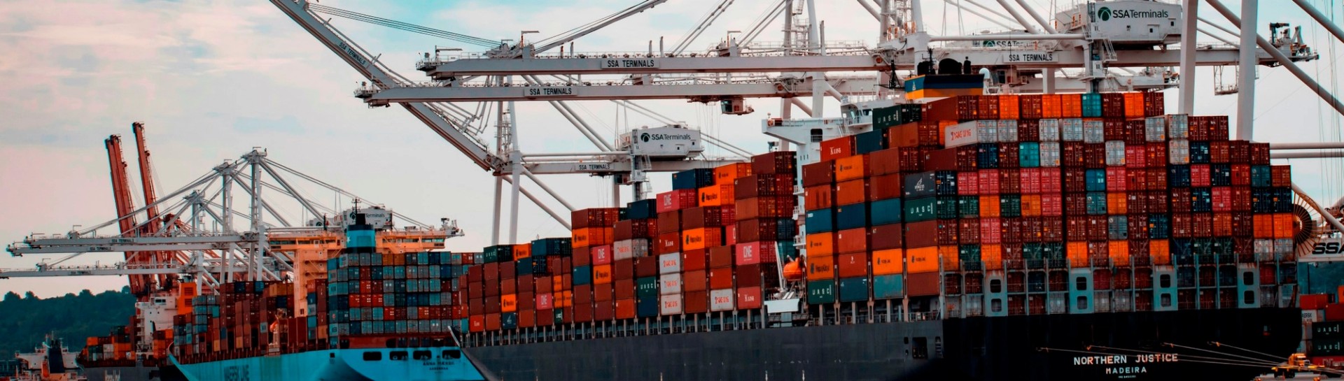 Inventory Optimization Consulting: Improve Profitability of Your Supply Chain