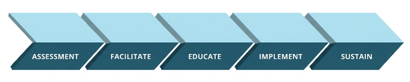 graphic that depicts Supply Velocity consulting process