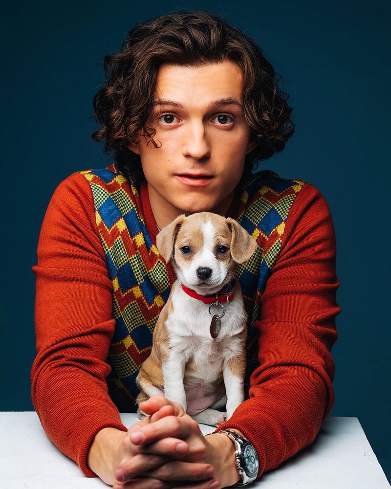 TOM HOLLAND