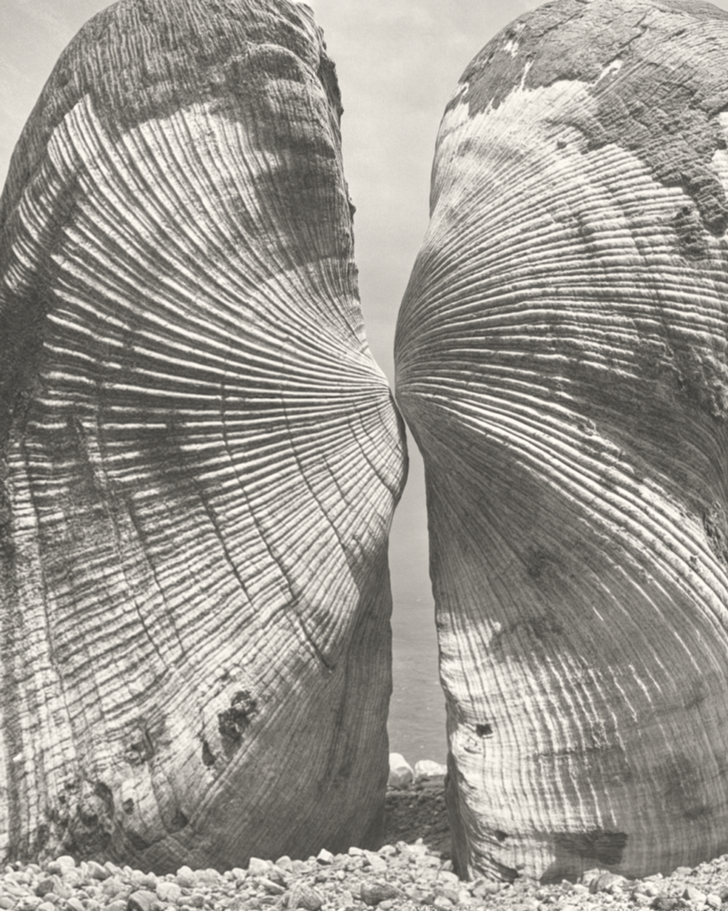 OMOI Jewelry Brand Texture – Organic Shell Form Visual by Eeze Studio Monochrome close‑up of shell‑like rock formations used as organic brand texture for OMOI Jewelry Shopify website design and identity by Eeze Studio