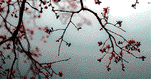 Dithered lo-fi image of tree branches