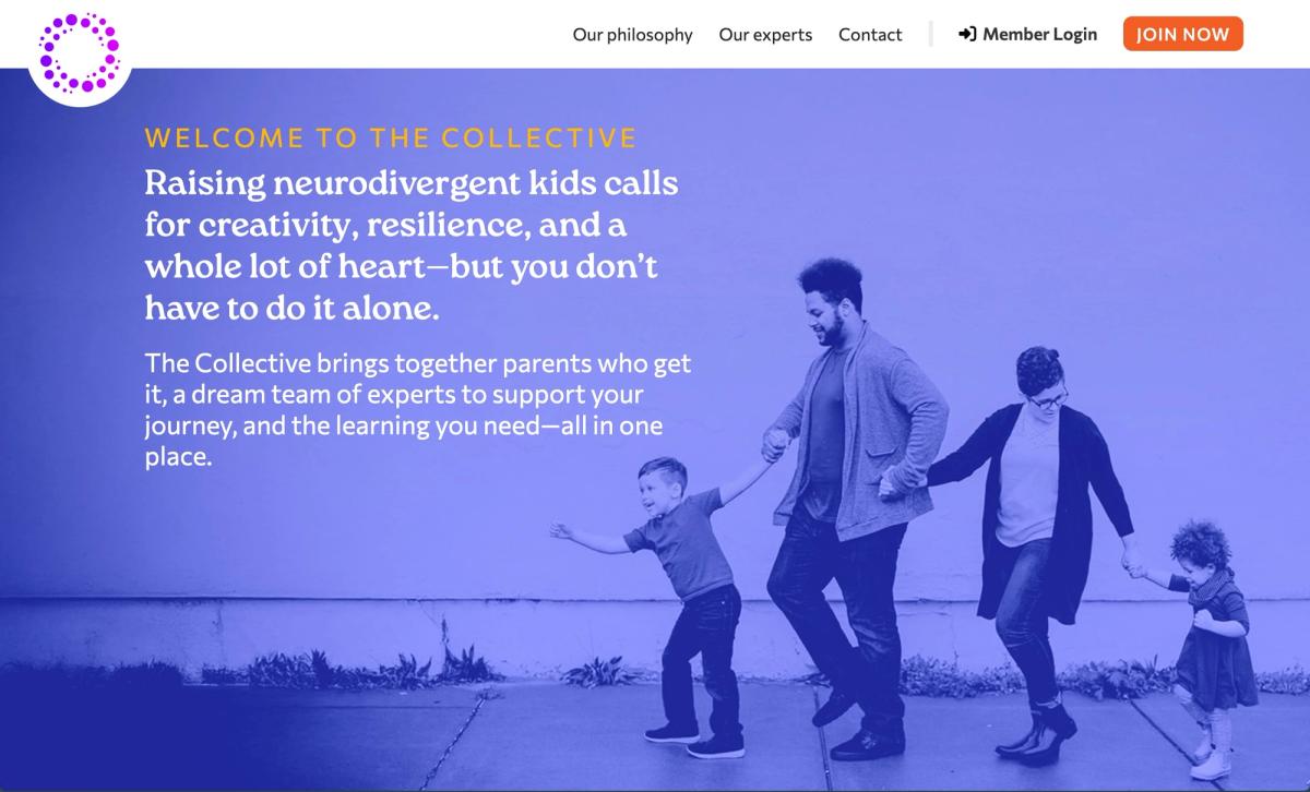 Webflow Site Design & Build screenshot