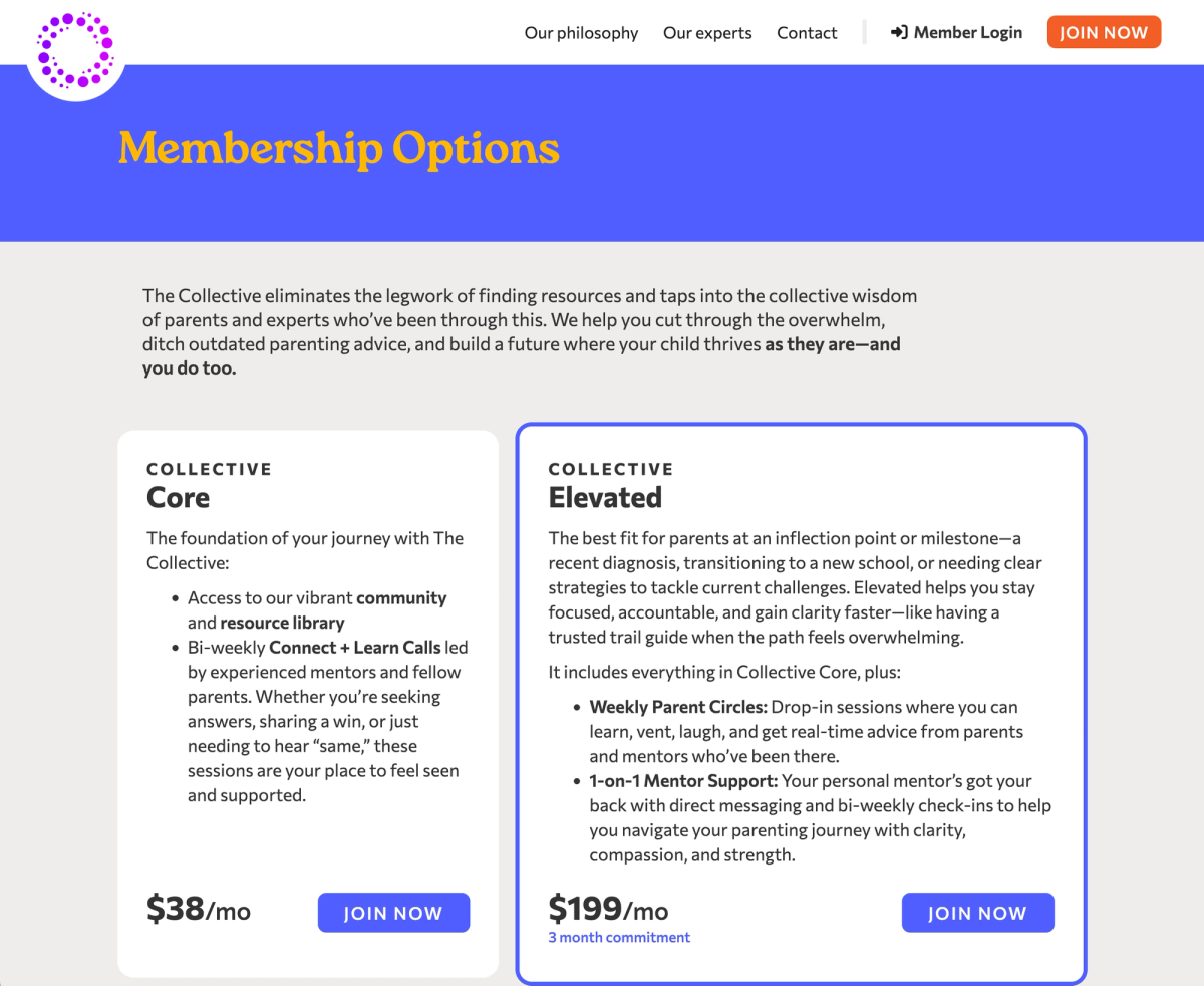 Webflow Site Design & Build screenshot