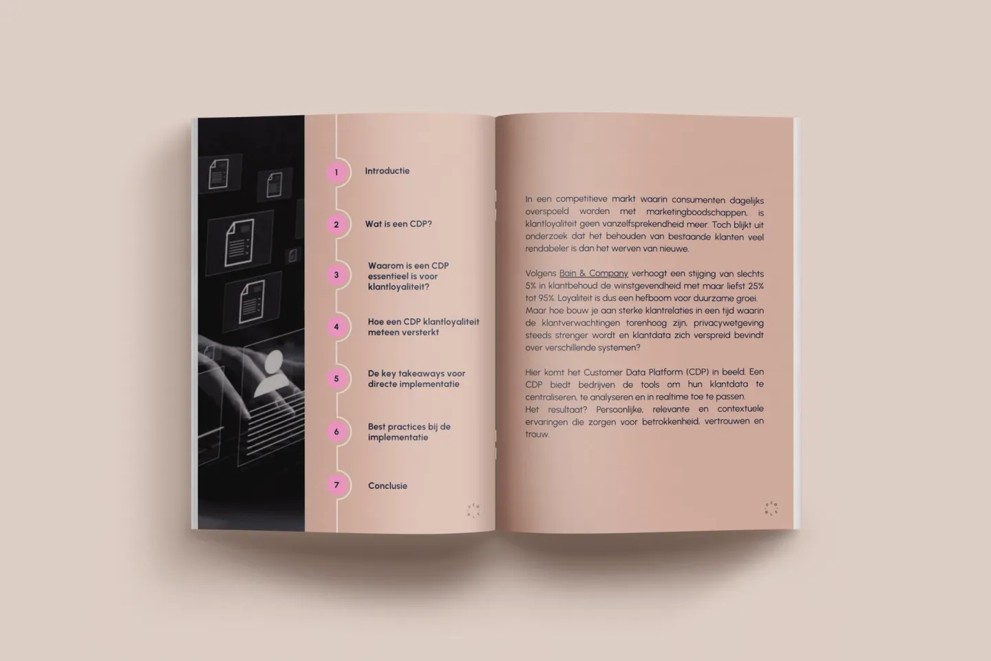 Cover of the guide From customer data to loyalty