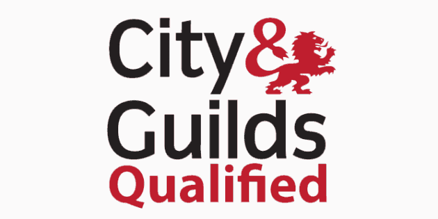 City & Guilds qualified electricians