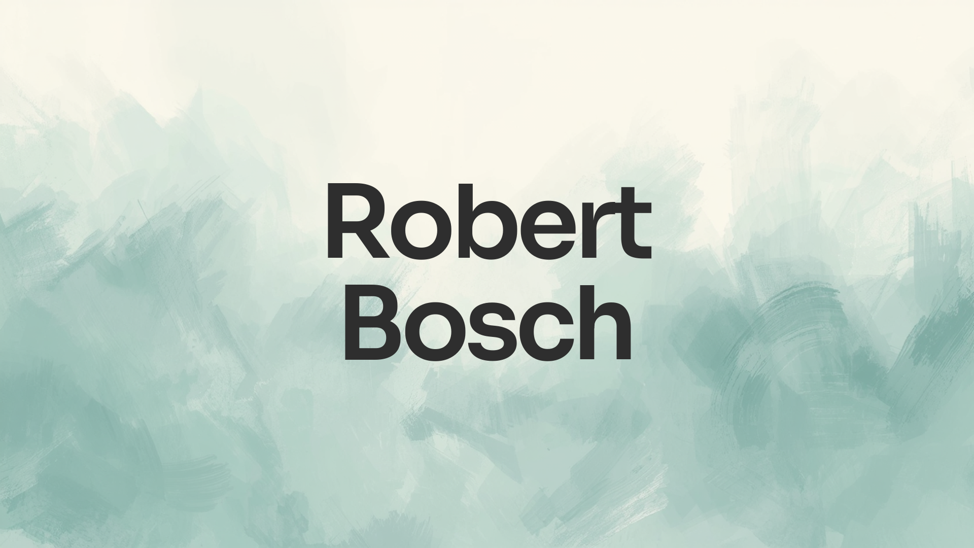 Robert Bosch - ERP System Development