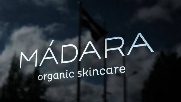 Website Development