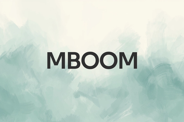 MBOOM - Development of ERP systems and B2C portals