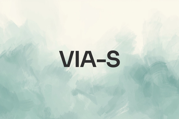 VIA-S - Website Development