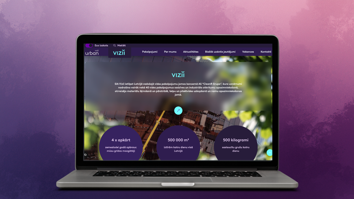 Vizii - System Development