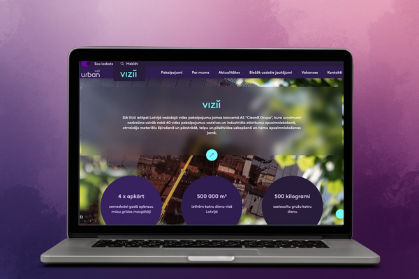 Vizii - System Development