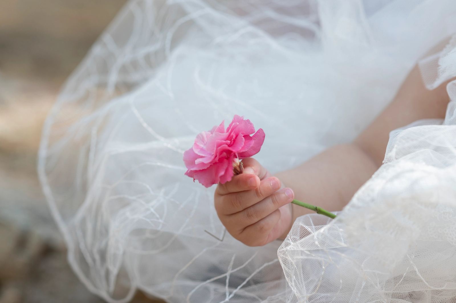 The baby's small hand holds a pink carnation against white tulle.