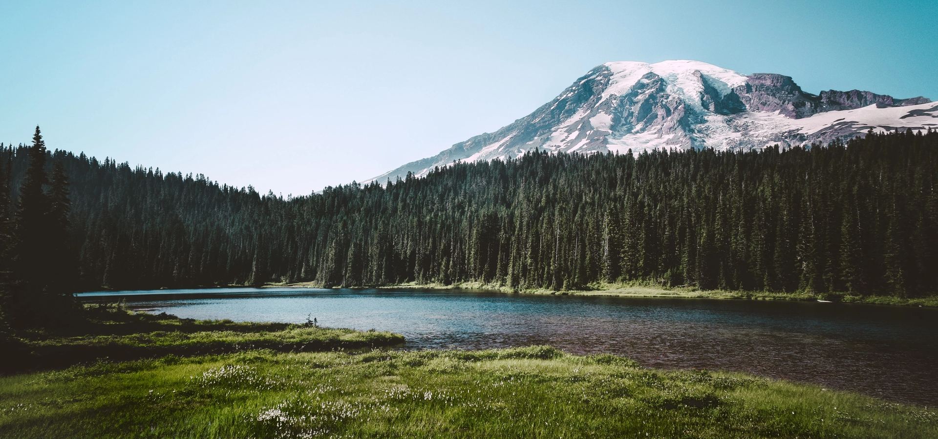 Mount Rainier reflected in a meadow lake at the edge of an evergreen forest — balance and proportion.