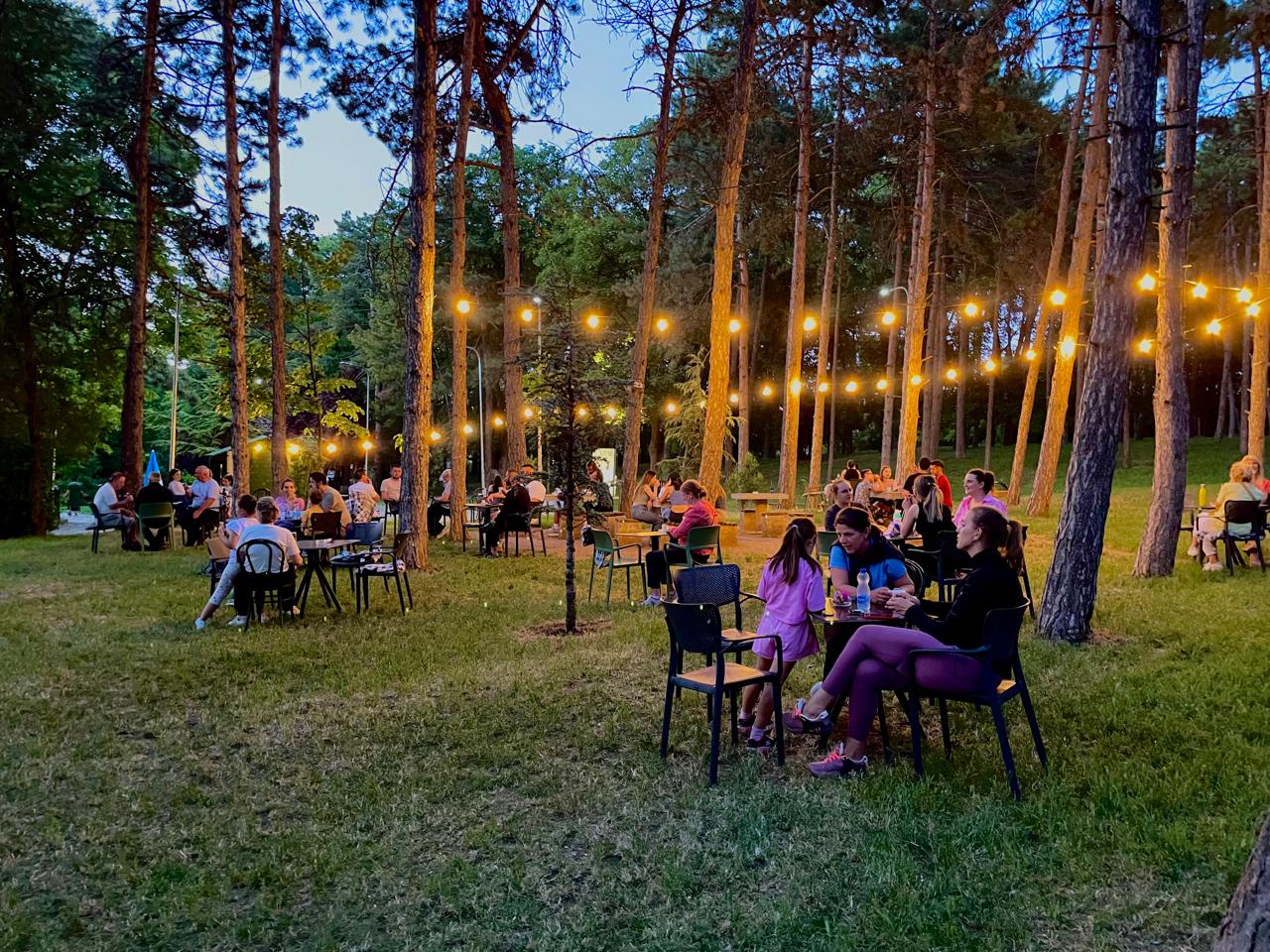 Mbrëmjet Verore në Park: Kur Gjithçka Bashkohet
