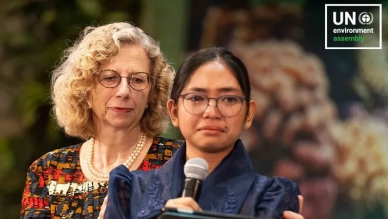 Gfcr capitalisatio 02