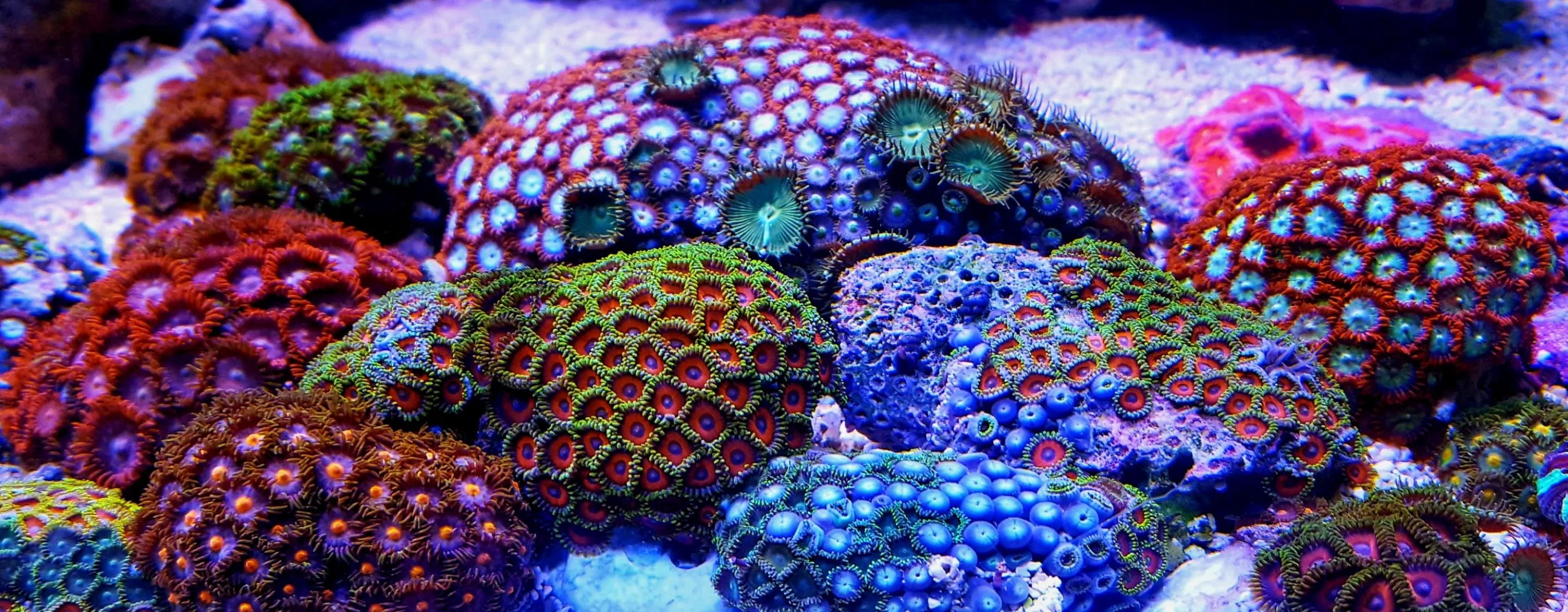 Fallbackplaceholder 11