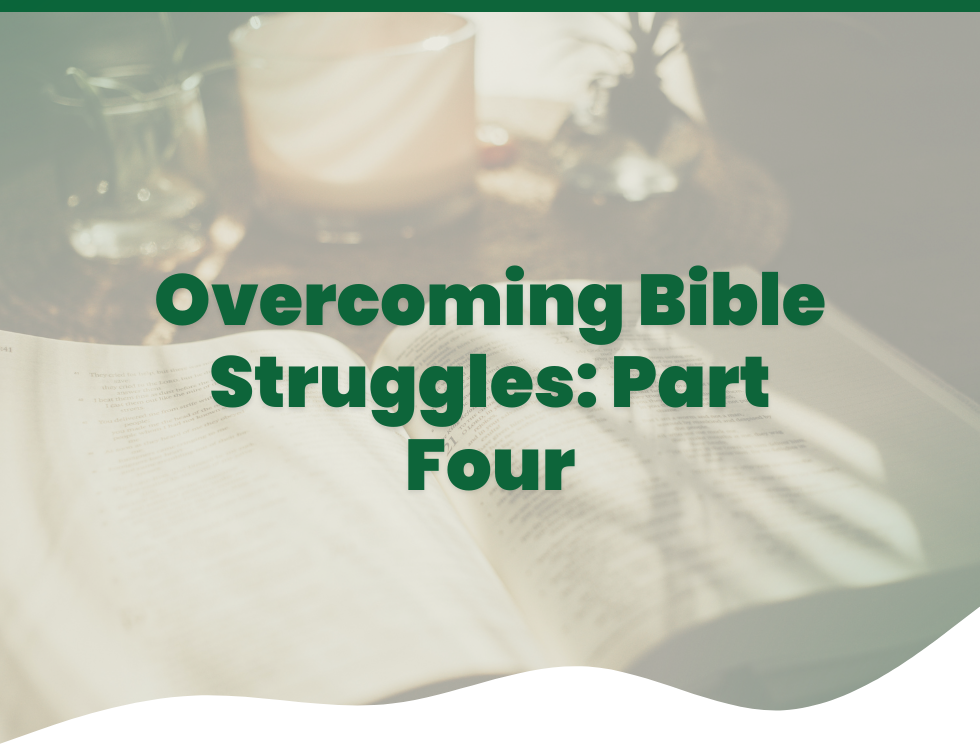 How to Make Bible Reading a Habit That Actually Sticks | Overcoming Bible Struggles: Part Four