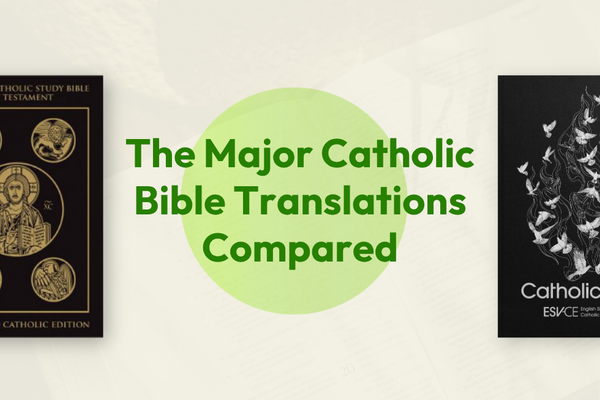 The Major Catholic Bible Translations Compared