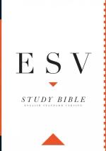 Study Bibles