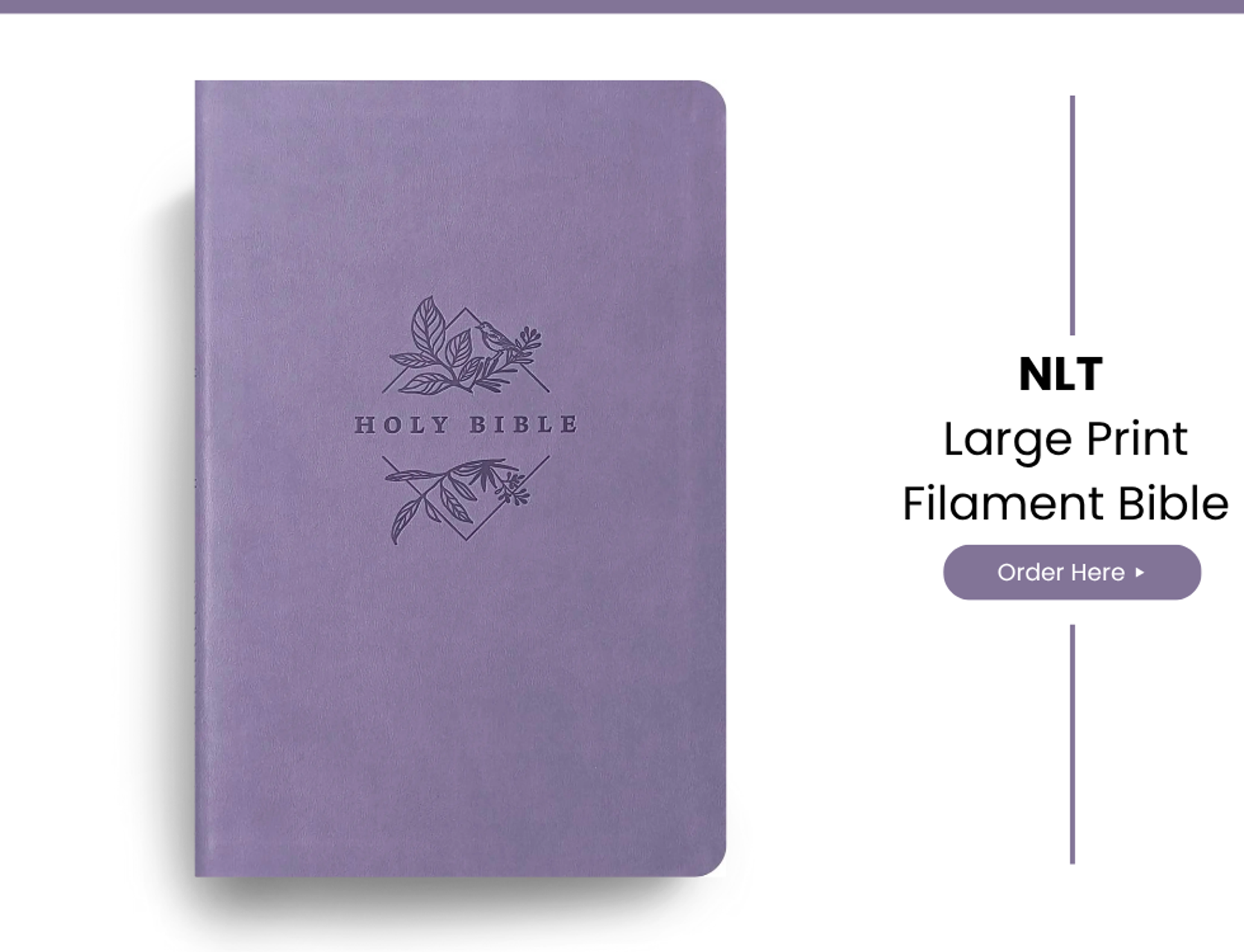 NLT Large Print Filament Bible under £20