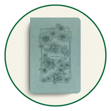 NLT Thinline Bibles