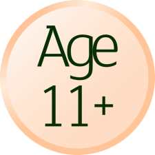 Age 11+ Christmas