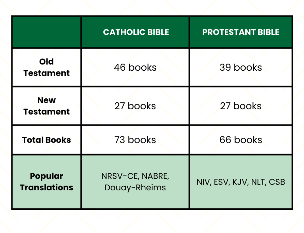 A table comparing Catholic and Protestant Bibles. It shows Catholic Bibles have 46 Old Testament books and 73 total books, while Protestant Bibles have 39 Old Testament books and 66 total books. Both have 27 New Testament books. The key difference noted is the inclusion of the Deuterocanonical books in Catholic Bibles.