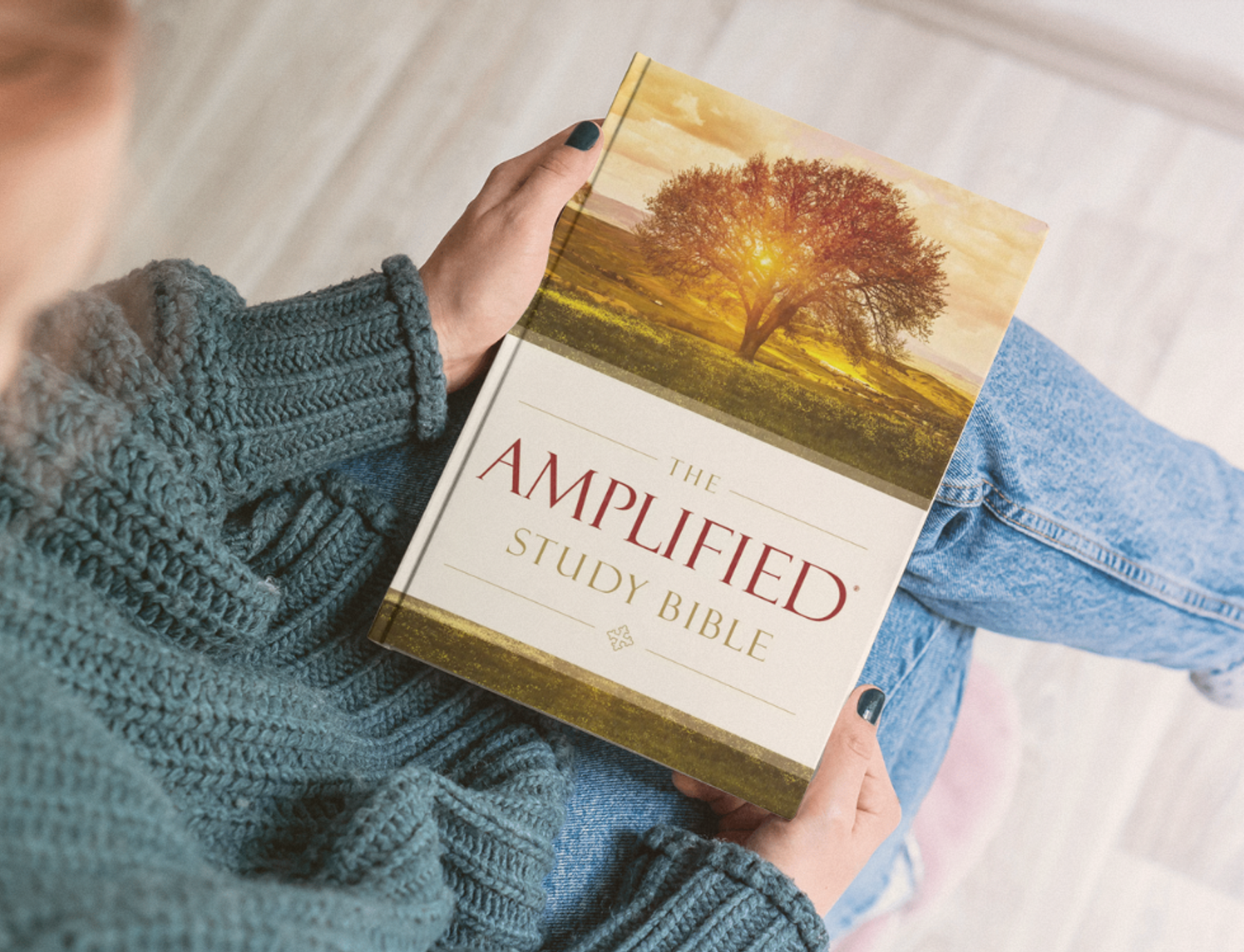 Amplified Study Bible