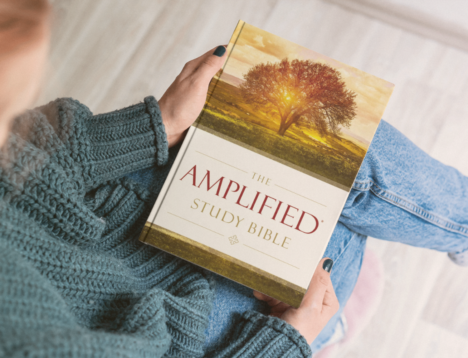 Amplified Study Bible