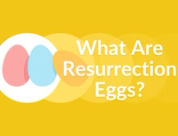 What Are The Resurrection Eggs?