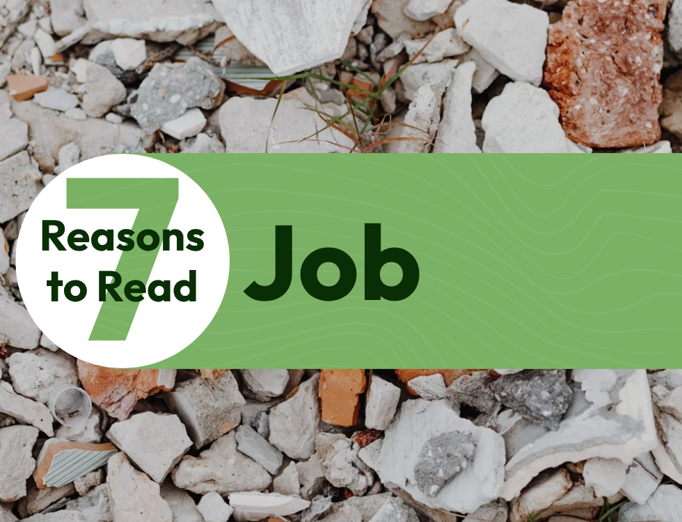 7 Reasons to Read the Book of Job