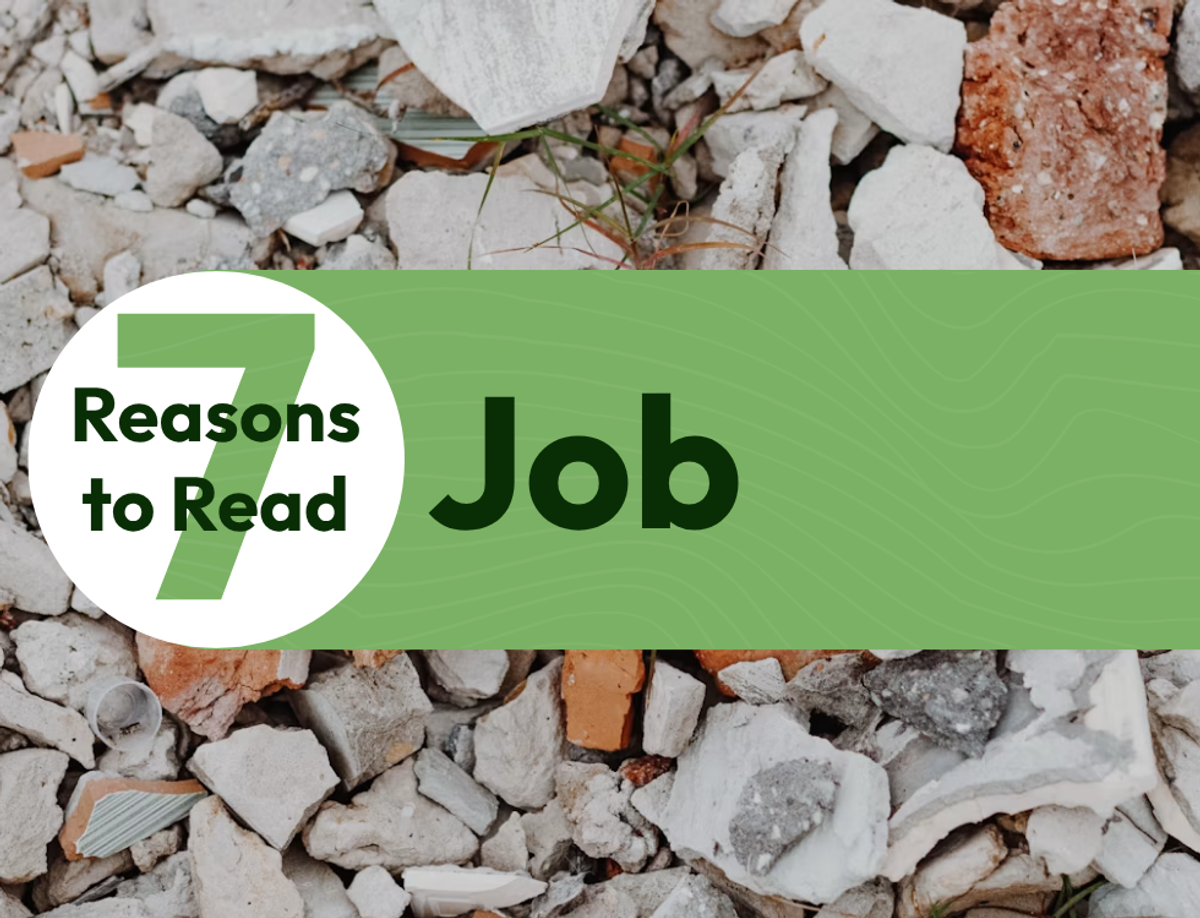 7 Reasons to Read the Book of Job