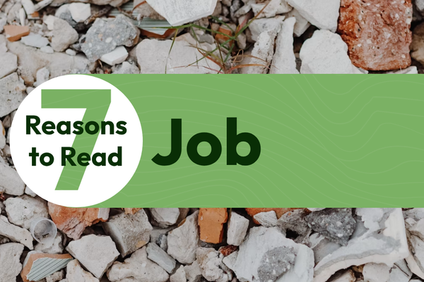 7 Reasons to Read the Book of Job