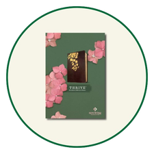 New Living Translation Bibles for Women