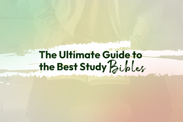 The Ultimate Guide to the Best Study Bibles