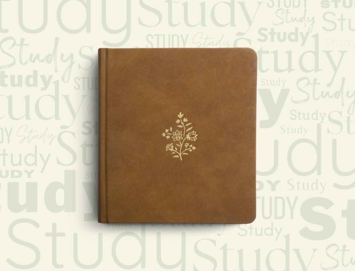 ESV Journaling Study Bible