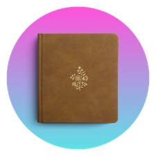 Journaling Bibles