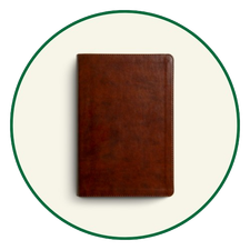 New ESV Bibles