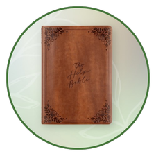 Slow Down with a Large Print Edition Bible