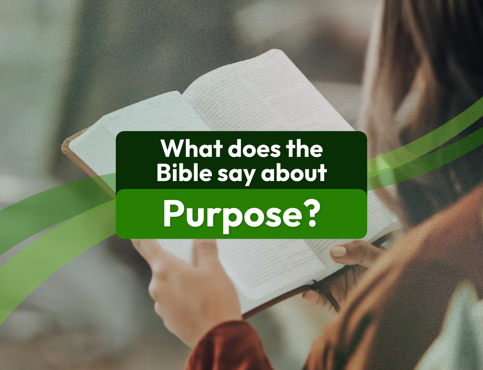 What Does the Bible Say About Purpose?