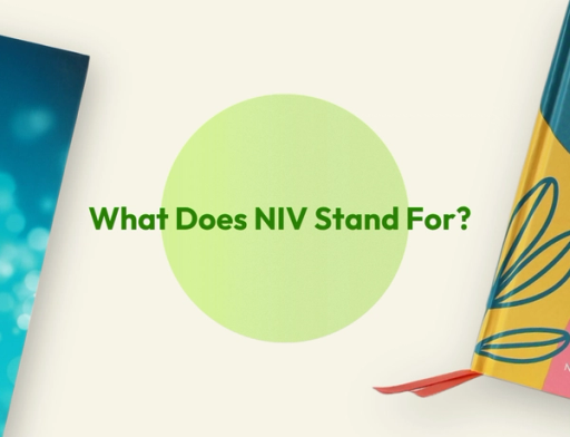 What Does NIV Stand For? 