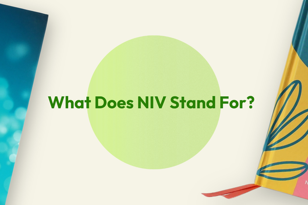 What Does NIV Stand For?