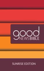 Good News Bibles