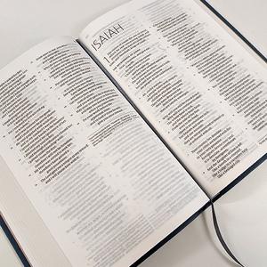 ESV-CE English Standard Version Catholic Edition Bible